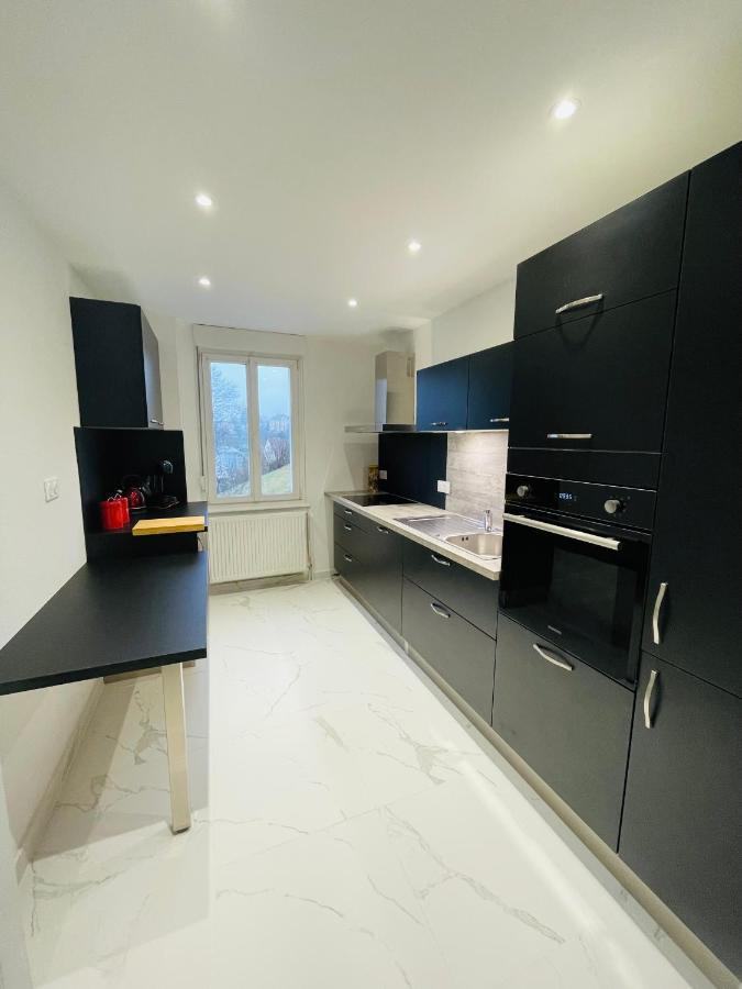 Appartement Les Tilleuls "3 Etoiles" Niederbronn-les-Bains Kültér fotó