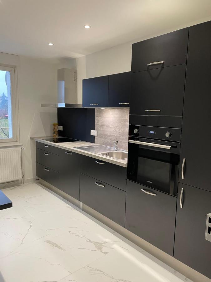 Appartement Les Tilleuls "3 Etoiles" Niederbronn-les-Bains Kültér fotó